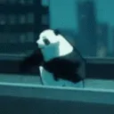pandaparkour