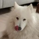 keelareadytoeat keelareadytoeat