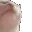 catjamultra