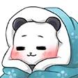 momo1bearsh_sleep