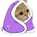 CIkittycomfy CIkittycomfy
