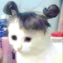 MichiColitas_FDB Discord emoji