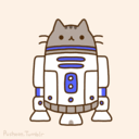 r2d2_cat Discord Emoji