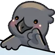 pcrowBongo