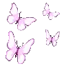 butterflies