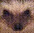 winkhedgehog