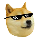 thugdoge