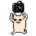 imageremovebgpreview51