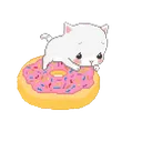 imageremovebgpreview61