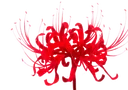 avredspiderlily Discord Emoji