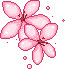 avpinkflower
