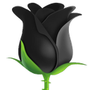 avblackrose