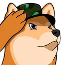 shibasalute shibasalute