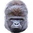 Harambe5Head