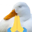 DuckPray