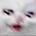 pwease