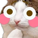 flushedcat