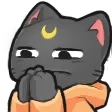 think_cat think_cat