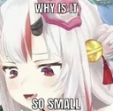 whyisitsosmall