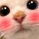catblush Discord emoji