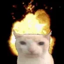 COOLFLAMECAT