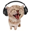 KITTYMUSIC KITTYMUSIC