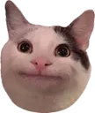cat2 Discord Emoji