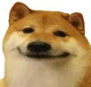 SmileDoge SmileDoge