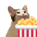 PopCatPopcorn