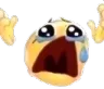 WHY