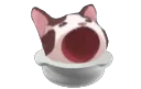 catsoup catsoup