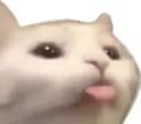 Cattoblep
