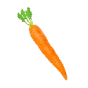NW_Carrot