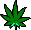 weed_led