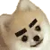 eyebrows