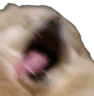 barkbarkbark barkbarkbark