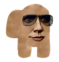 AmongSUSGhillie AmongSUSGhillie