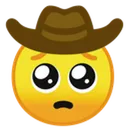 pleasemrcowboy