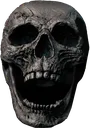 skull3 skull3