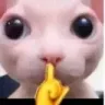 shh