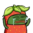 brarySaddies