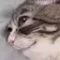 catcry