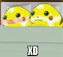 xdsex