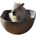Capybowl