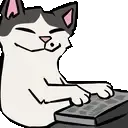 Catting Catting