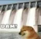 dam