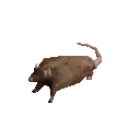 ratastrophe