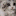:cat_happy_cute_kitten: