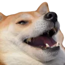 DogKek