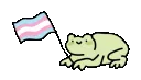 TPU_Frog_TransFlag
